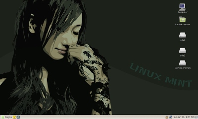 My Linux Mint Desktop